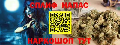 стаф Кинель