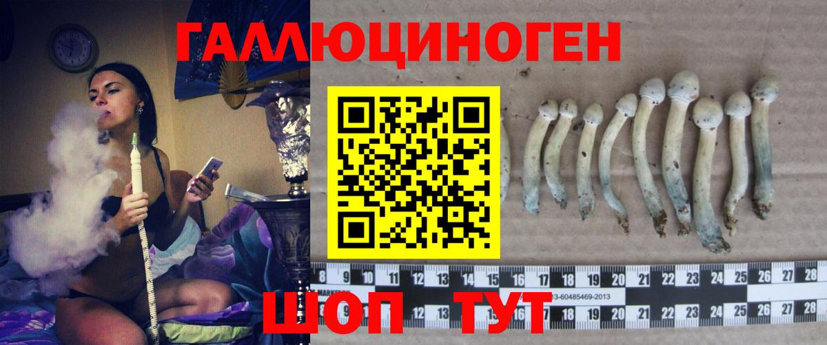 Фрязино  Псилоцибиновые грибы прущие грибы  Вход с VPN 
